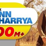 mann-bharya-lyrics-b-praak-jaani-himanshi-khurana