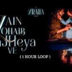 ranjheya-ve-lyrics-english-translation-zain-zohaib