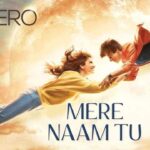 mere-naam-tu-lyrics-translation-zero-hindi-bollywood-songs