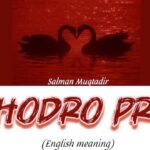 obhodro-prem-lyrics-translation-salman-muqtadir