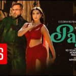 payal-lyrics-translation-yo-yo-honey-singh-paradox-glory