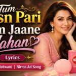 tum-husn-pari-tum-jaane-jahan-lyrics-hansika-motwani-nirma-washing-powder-ad-song